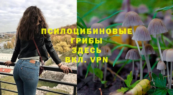 прущие грибы Алексеевка
