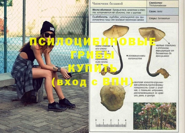 ГАЛЛЮЦИНОГЕННЫЕ ГРИБЫ Алексин