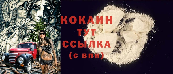 крисы Алзамай