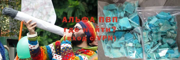 прущие грибы Алексеевка