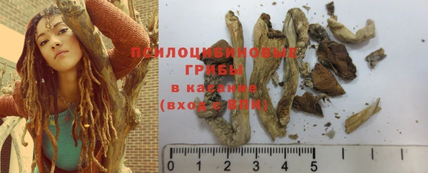 гашиш Аркадак